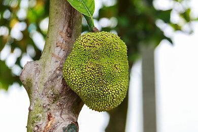 AI新用法？网飞将使用AI生成植入广告